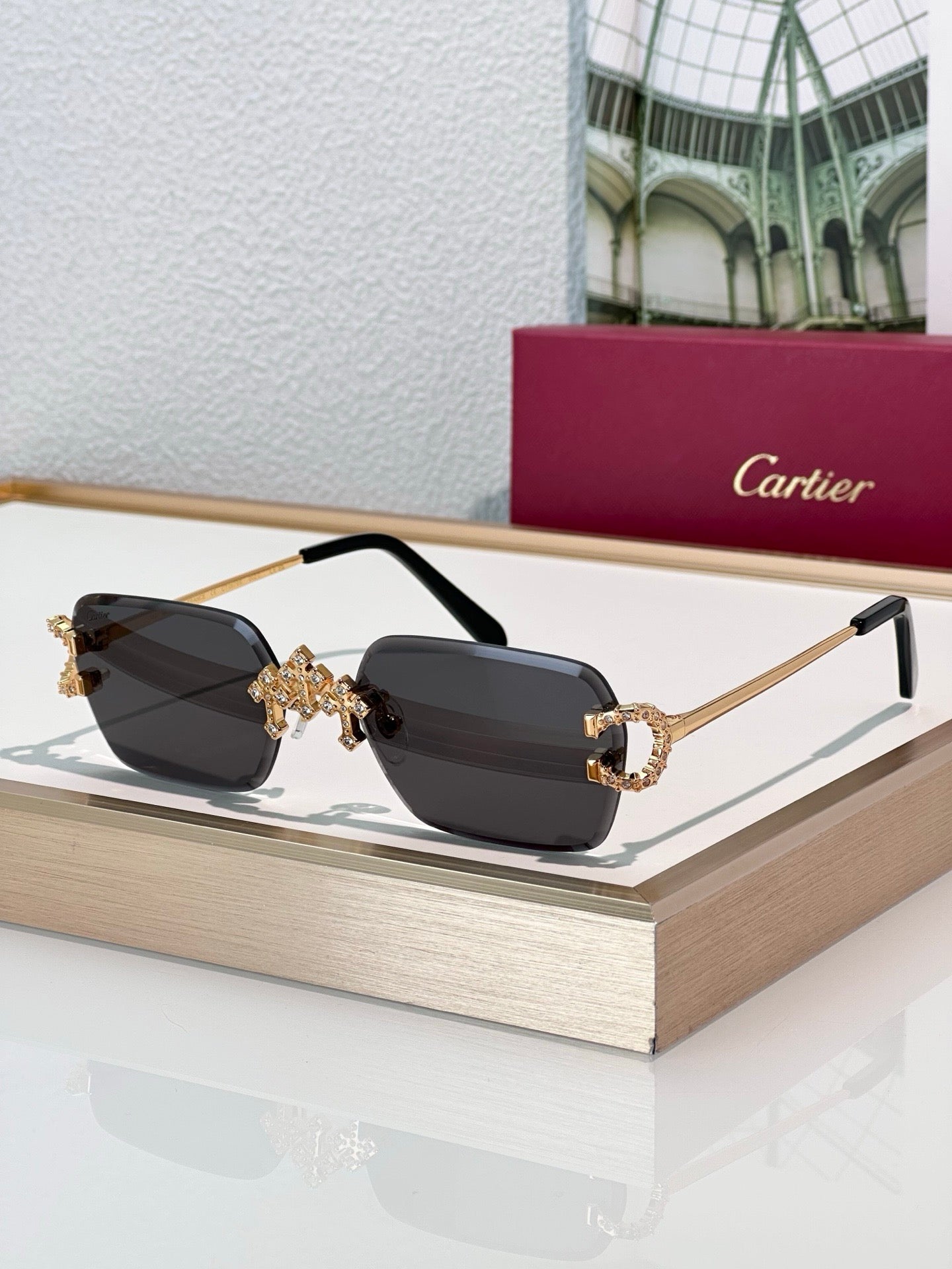 '-  Cartier C-decor PREMIÈRE DE CARTIER CT0679 Diamond Sunglasses 🐆