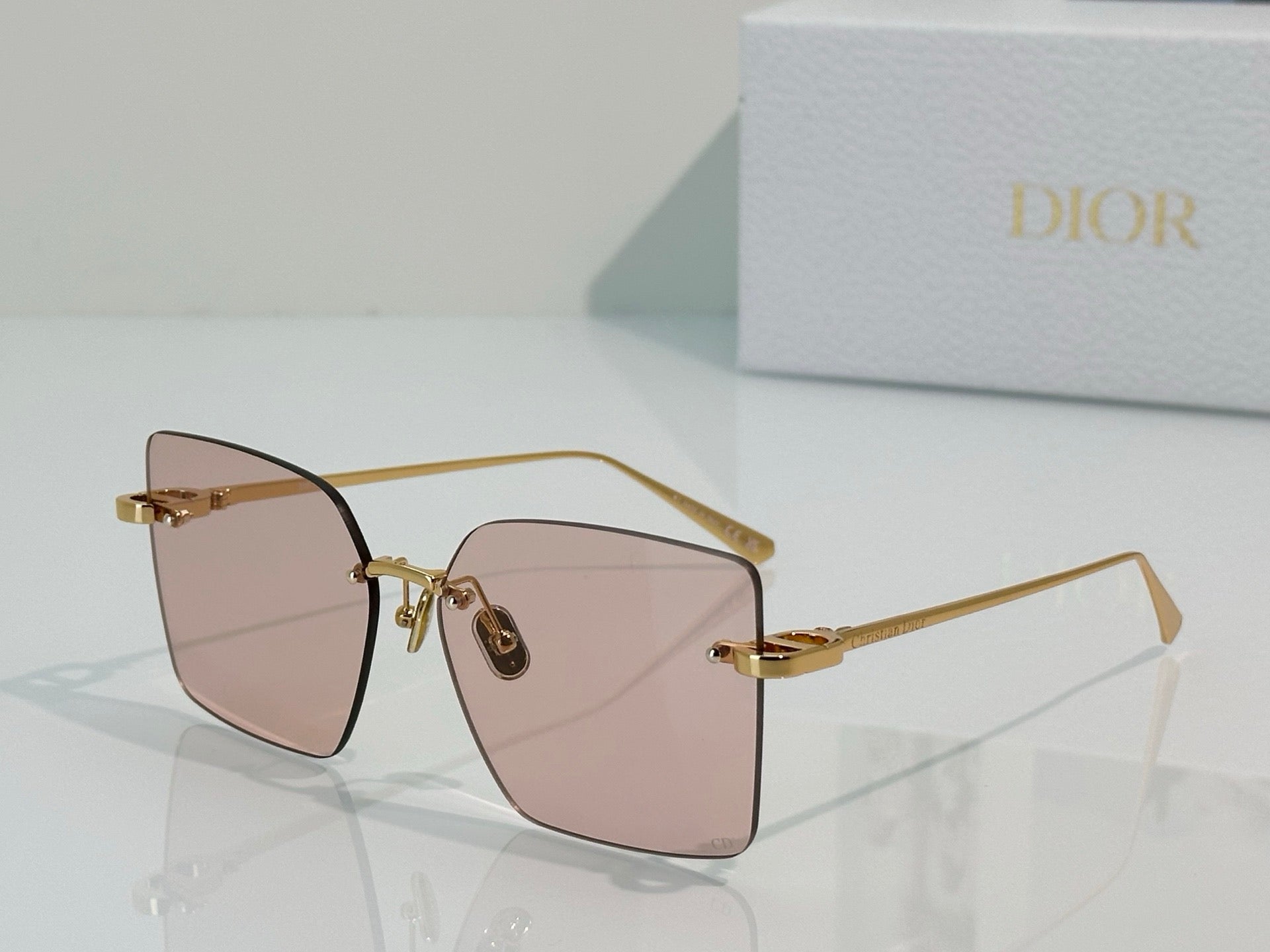 DIOR CDior S3U  NEW SEASON Sunglasses✨