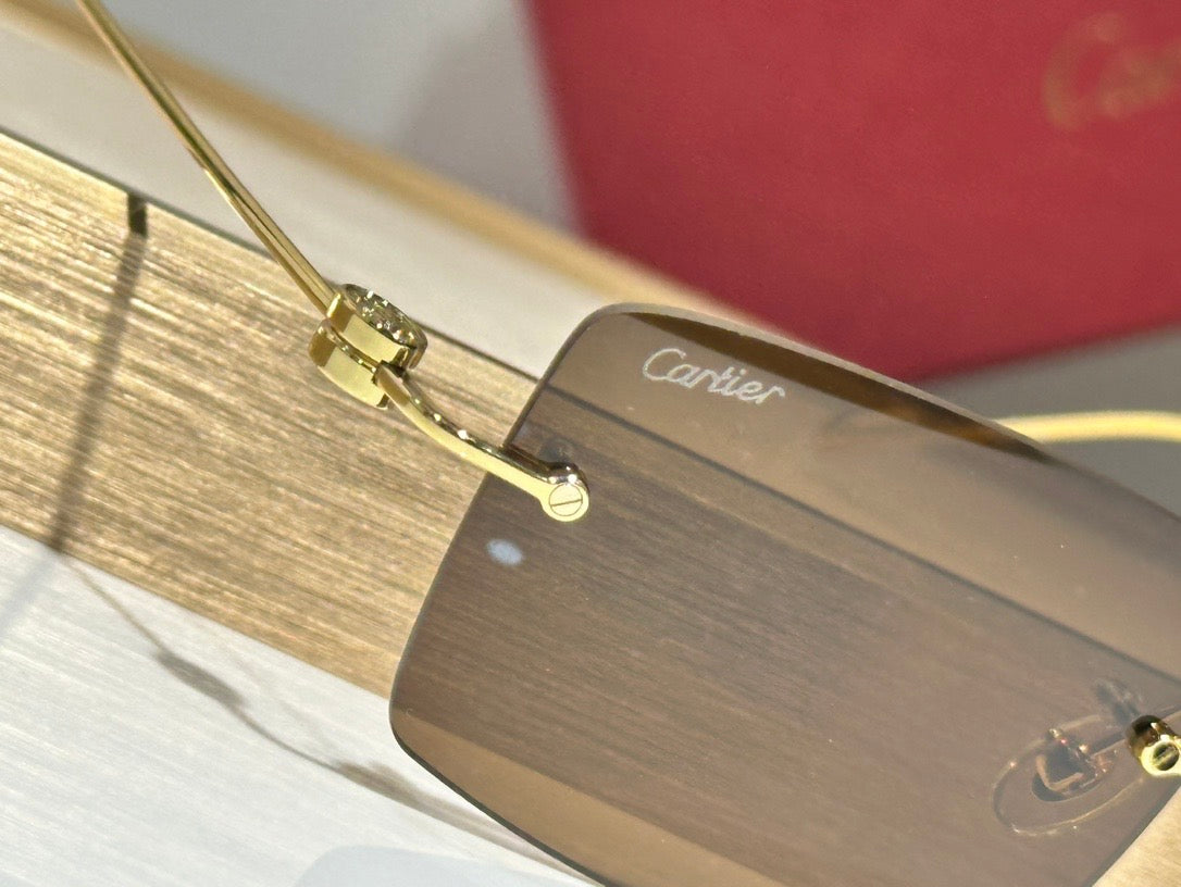 Cartier CT0367S 002 54 - Gold-Silver Unisex Sunglasses Precious 🐆 $11.000