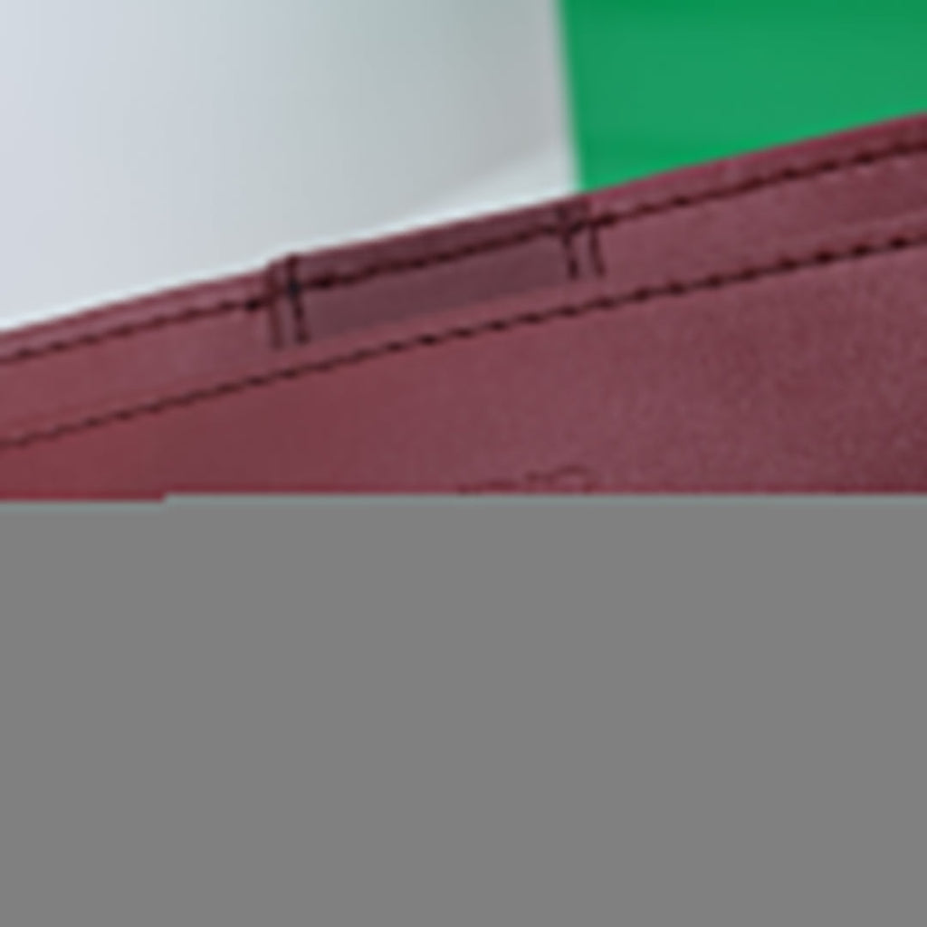 Bottega Veneta Medium Andiamo leather bag 💚