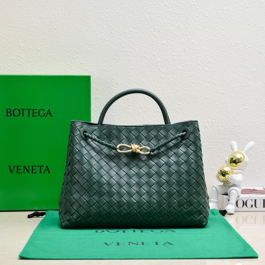 Bottega Veneta Medium Andiamo leather bag 💚