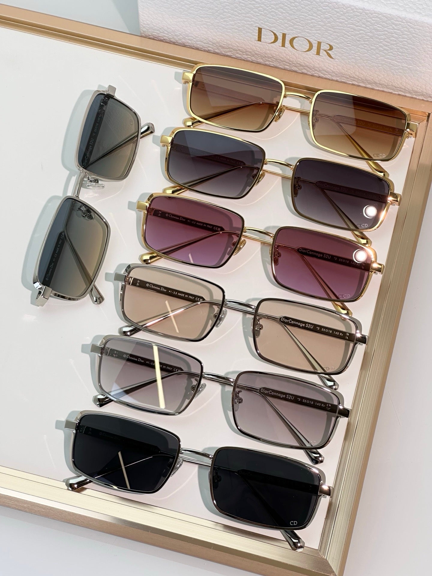 DIOR DiorCannage S2U Rectangular Sunglasses ✨