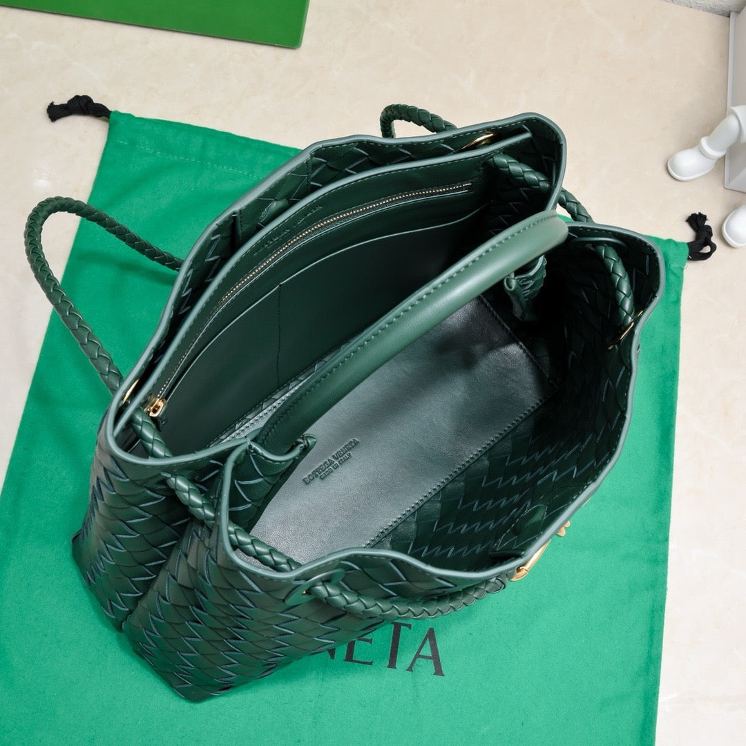 Bottega Veneta Medium Andiamo leather bag 💚