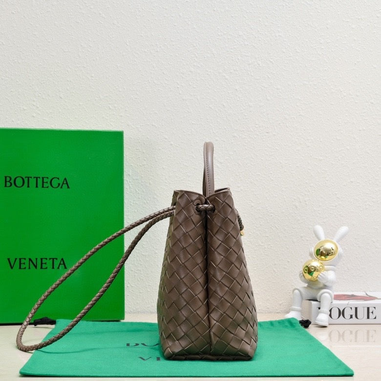 Bottega Veneta Medium Andiamo leather bag 💚