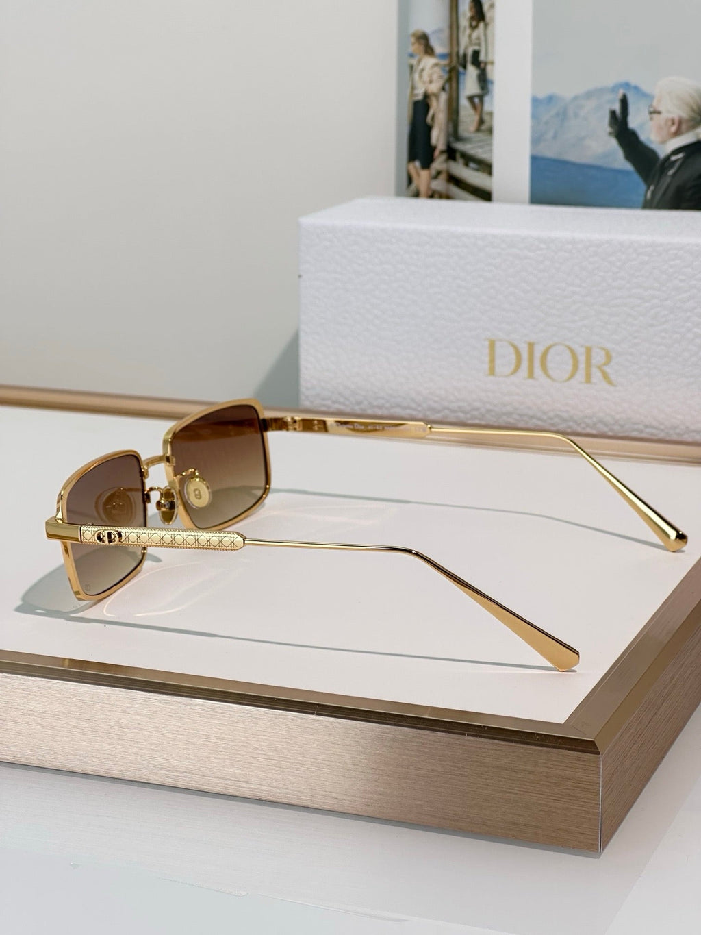 DIOR DiorCannage S2U Rectangular Sunglasses ✨