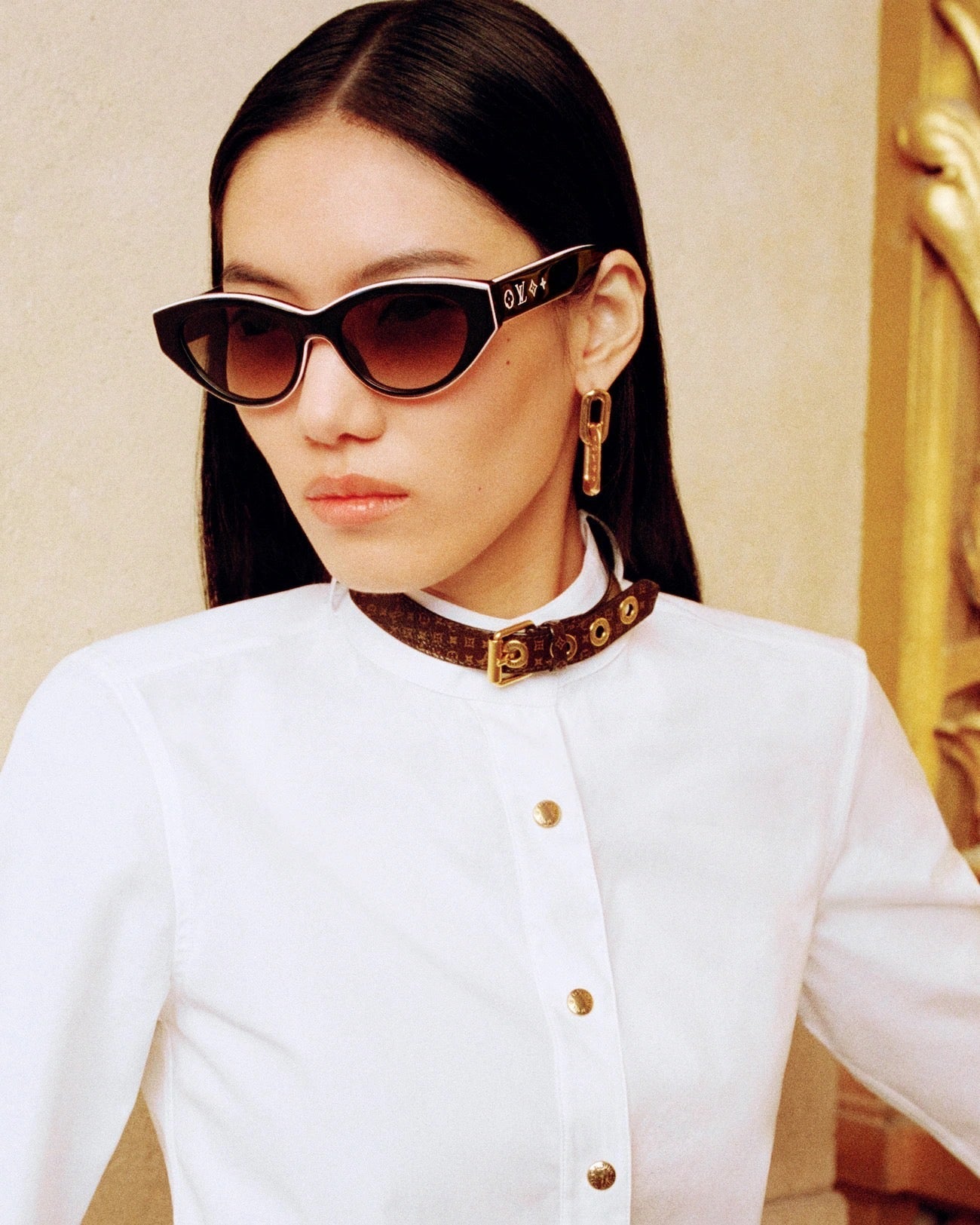 Louis Vuitton Z2686U New LV Line Cat Eye Sunglasses ✨