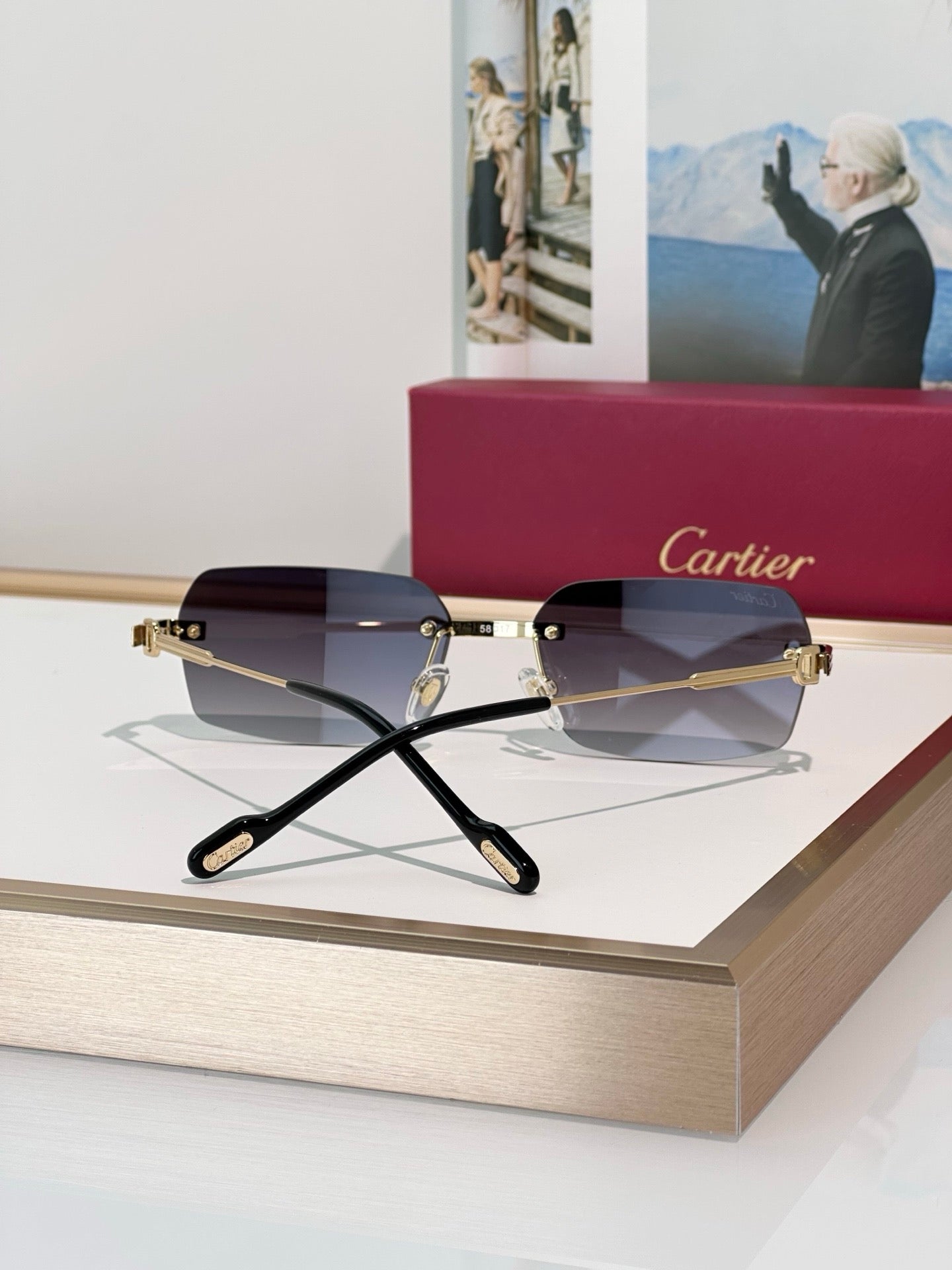 '-  Cartier CT0271 S Unisex Sunglasses 🐆 - NEW $1600 retail price