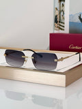 '-  Cartier CT0271 S Unisex Sunglasses 🐆 - NEW $1600 retail price