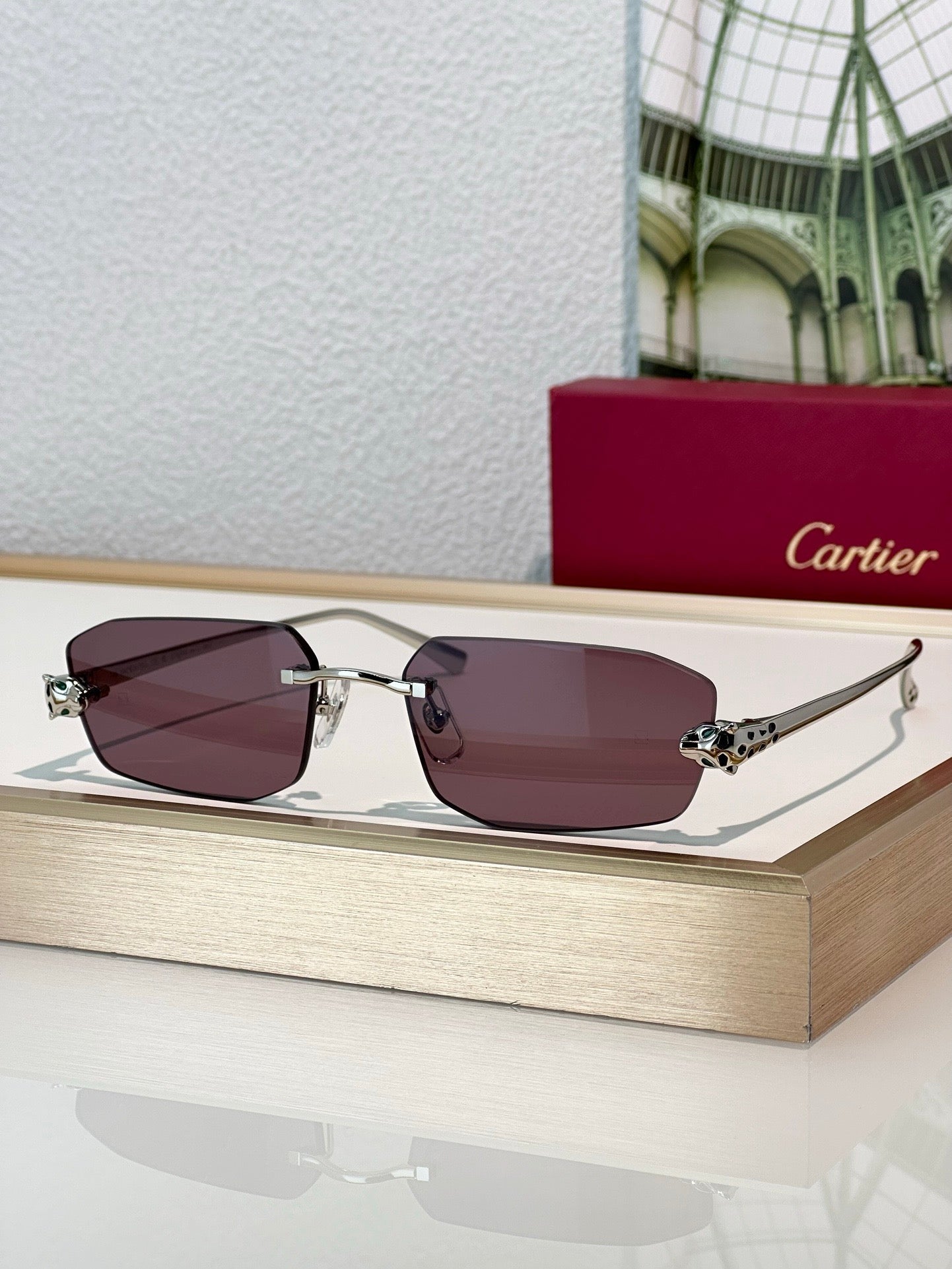 CARTIER PANTHERE CT0474S Sunglasses Unisex  $1595  ✨