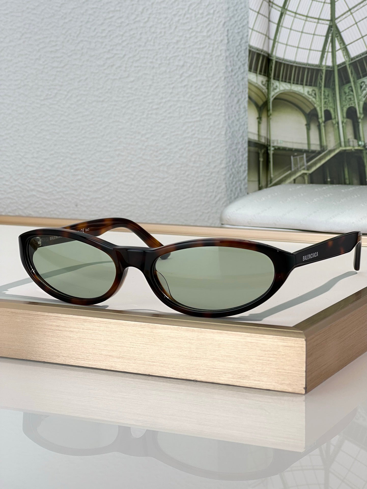 BALENCIAGA BB0007S Acetate Sunglasses 👽