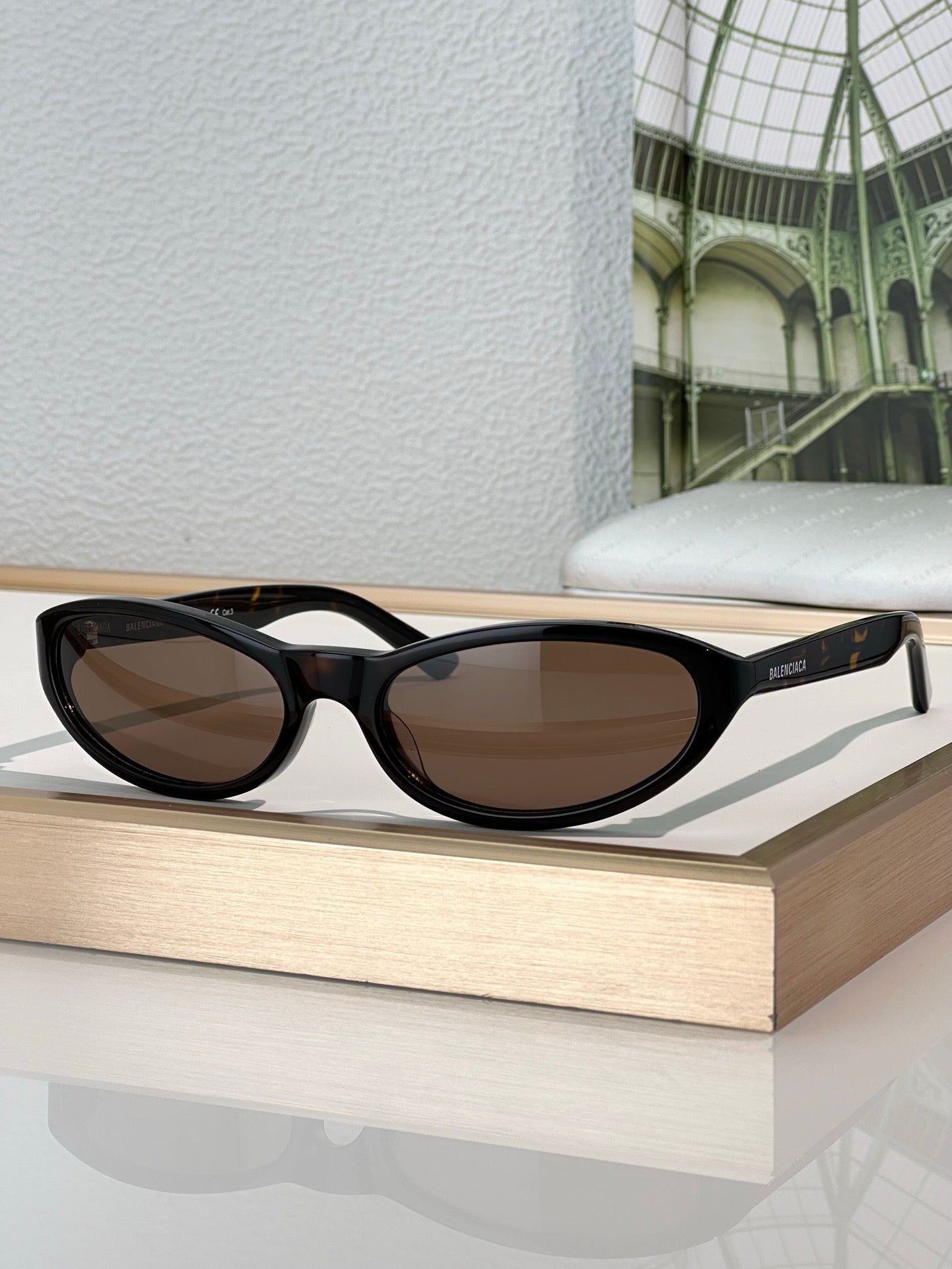 BALENCIAGA BB0007S Acetate Sunglasses 👽