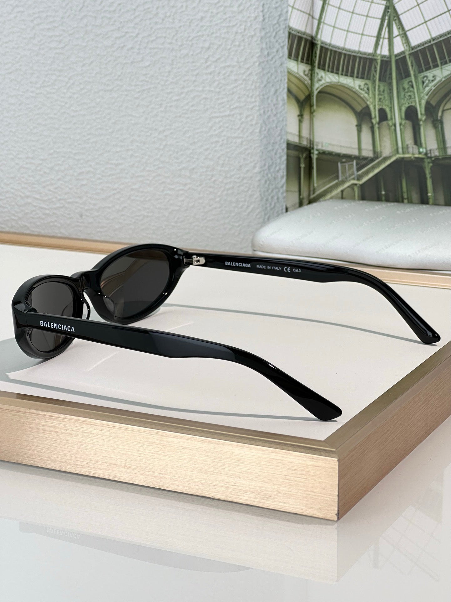 BALENCIAGA BB0007S Acetate Sunglasses 👽