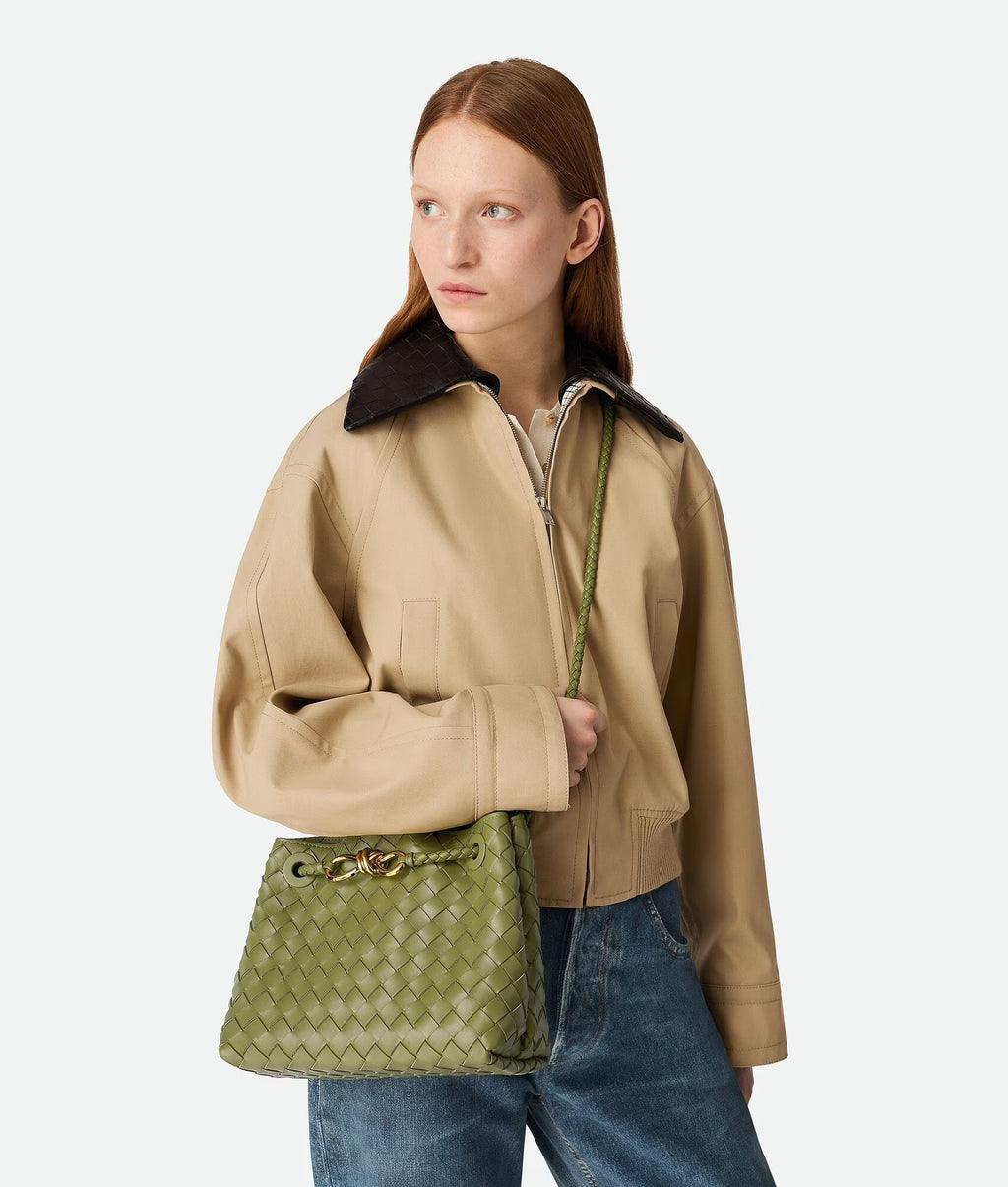 '- Bottega Veneta Small Andiamo leather bag 💚